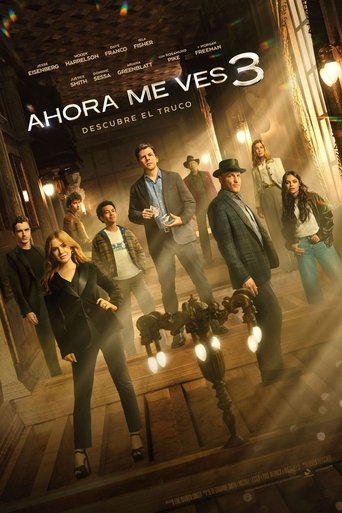 Cartel de Ahora me ves 3