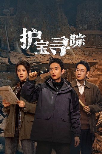 Cartel de 护宝寻踪