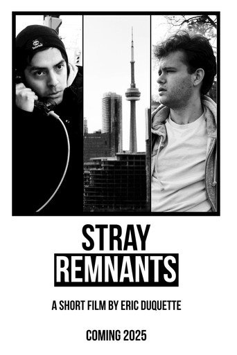 Cartel de Stray Remnants