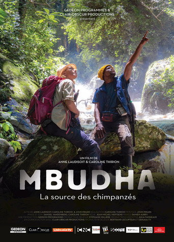 Cartel de Mbudha, sur les traces des chimpanzés