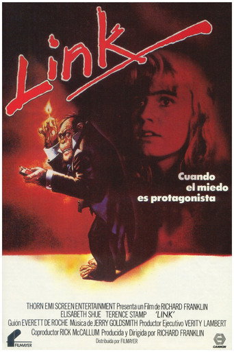 Cartel de Link