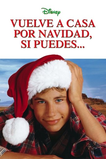 Cartel de Vuelve a casa por Navidad, si puedes...