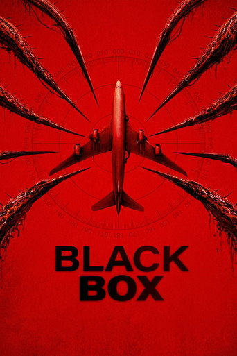 Cartel de Black Box: Vuelo 298