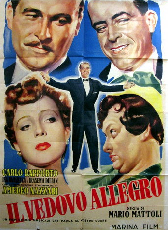 Cartel de Il vedovo allegro