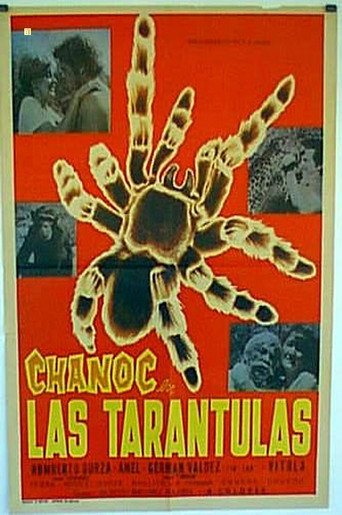 Cartel de Chanoc en las tarántulas