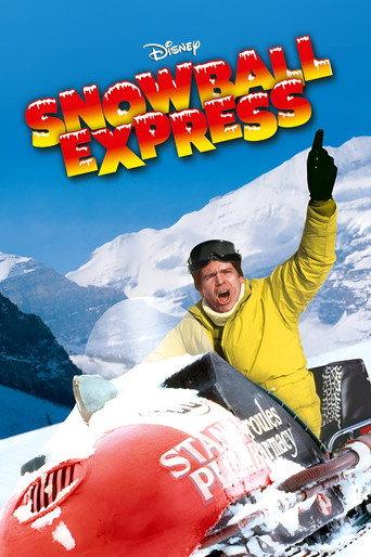 Cartel de Aventuras en la nieve