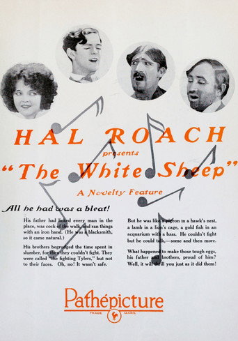 Cartel de The White Sheep