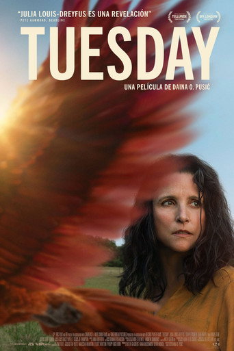 Cartel de Tuesday