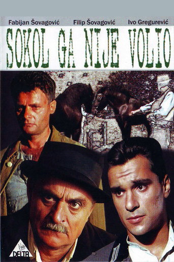 Cartel de Sokol ga nije volio