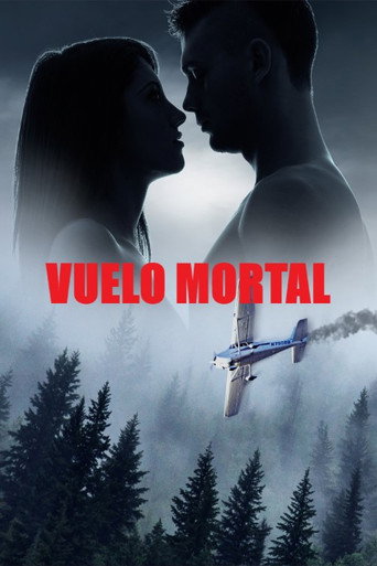 Cartel de Miedo a volar