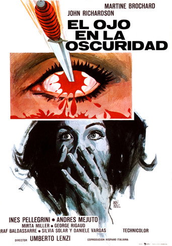 Cartel de El ojo en la oscuridad
