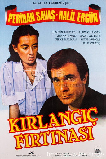 Cartel de Kırlangıç Fırtınası