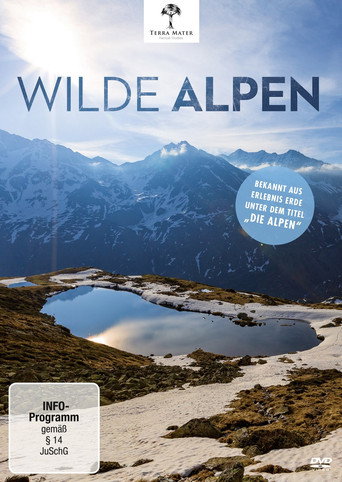 Cartel de Wilde Alpen