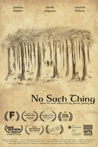 Cartel de No Such Thing