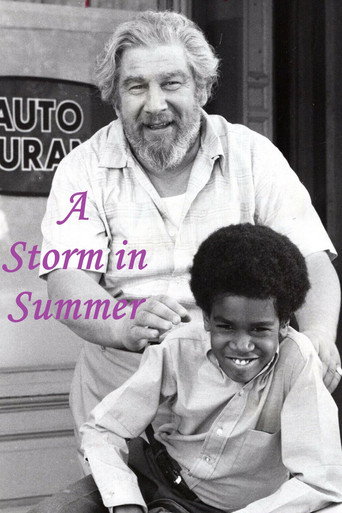 Cartel de A Storm in Summer