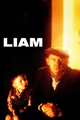 Cartel de Liam