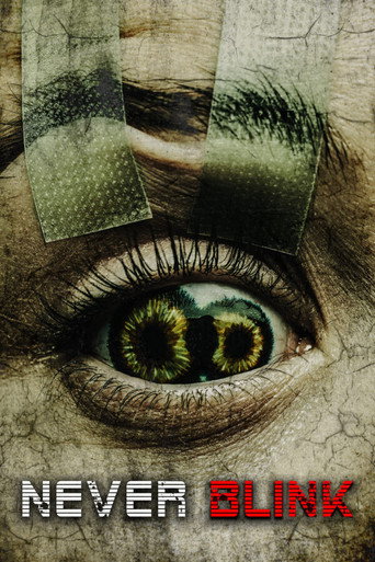 Cartel de Never Blink