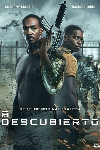 Cartel de A descubierto