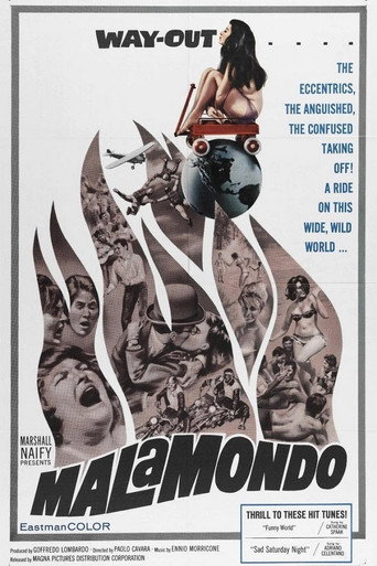 Cartel de I malamondo
