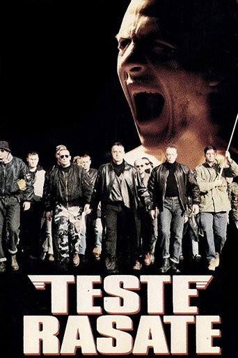 Cartel de Teste rasate