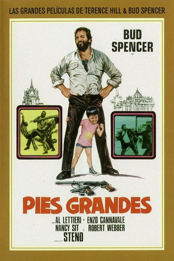 Cartel de Pies grandes