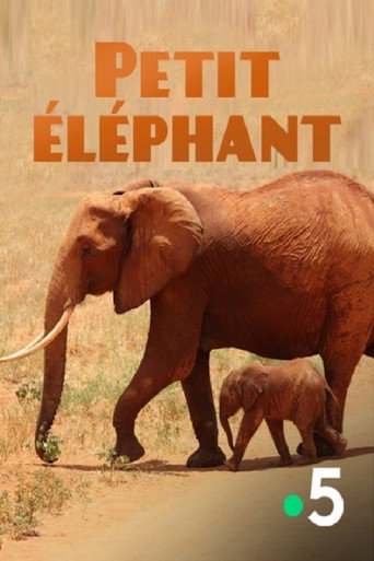 Cartel de Petit éléphant