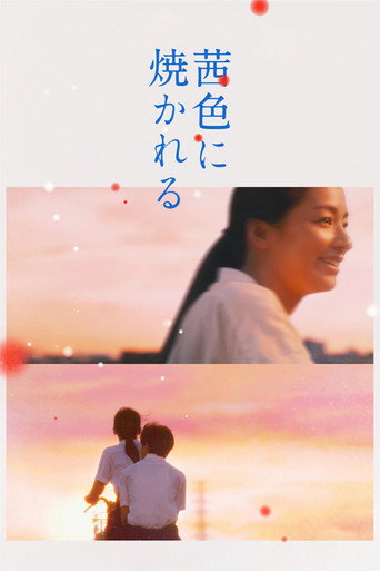 Cartel de 茜色に焼かれる