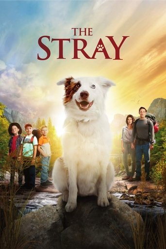 Cartel de The Stray