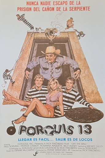 Cartel de Porquis 13