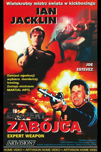 Cartel de Expert Weapon