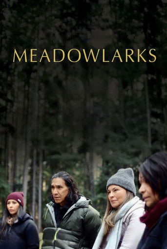 Cartel de Meadowlarks