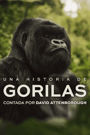 Cartel de Una historia de gorilas contada por David Attenborough