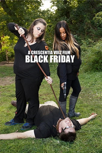 Cartel de Black Friday