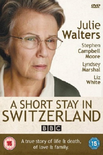 Cartel de A Short Stay in Switzerland