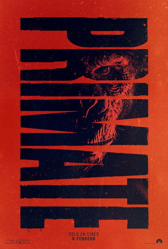 Cartel de Primate