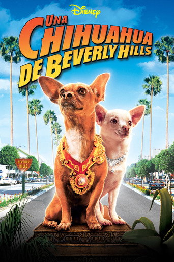 Cartel de Un chihuahua en Beverly Hills