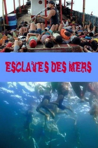Cartel de Esclaves des mers