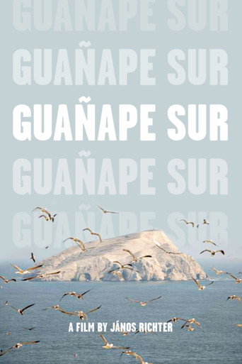 Cartel de Guañape sur