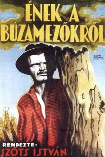 Cartel de Ének a búzamezőkről