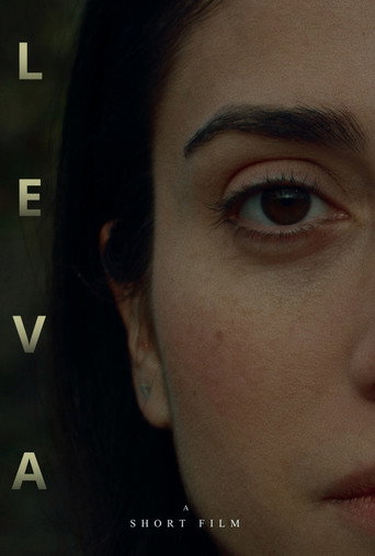 Cartel de L E V A