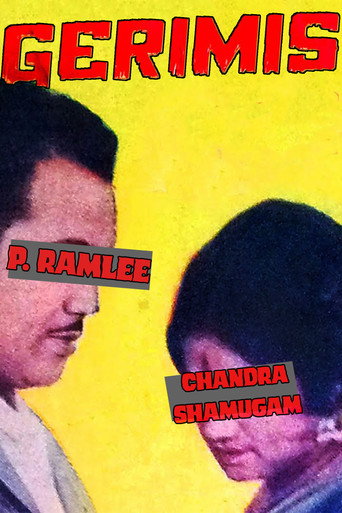 Cartel de Gerimis