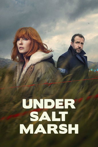Cartel de Under Salt Marsh