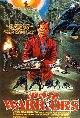 Cartel de Ninja Warriors