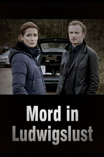 Cartel de Mord in Ludwigslust