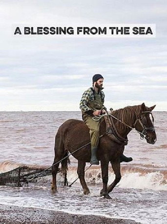Cartel de A Blessing from the Sea