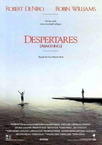 Cartel de Despertares