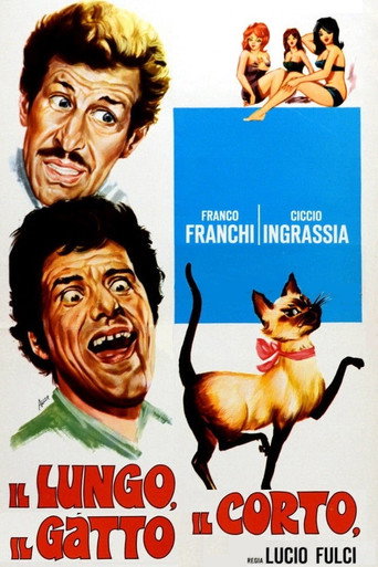 Cartel de Il lungo, il corto, il gatto