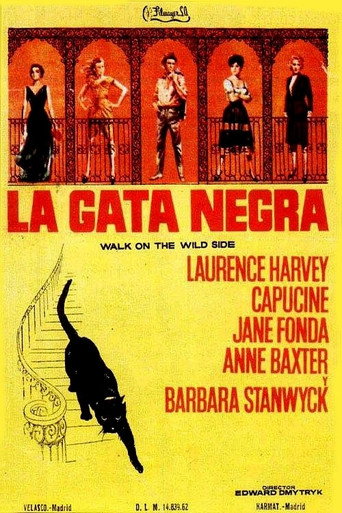 Cartel de La gata negra
