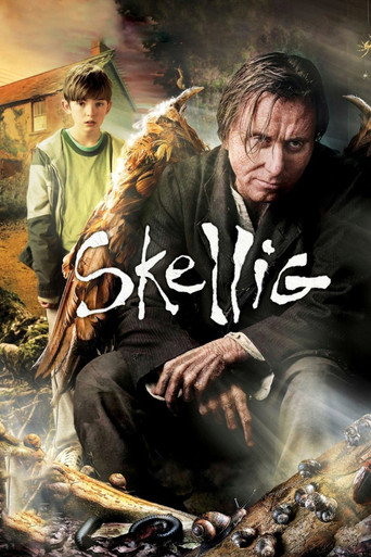 Cartel de Skellig