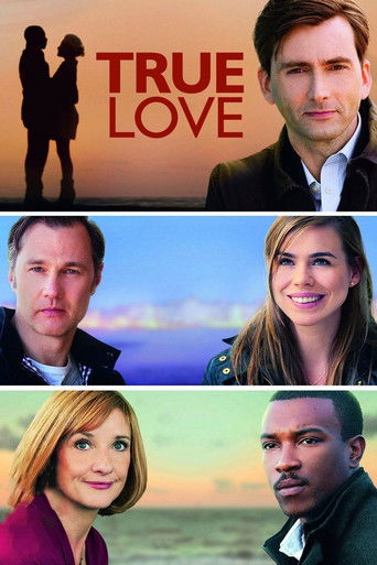 Cartel de True Love